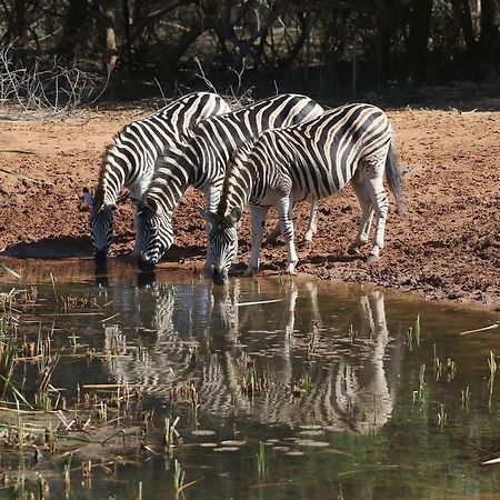 Bushbaby Lodge & Camping Hluhluwe Exteriér fotografie
