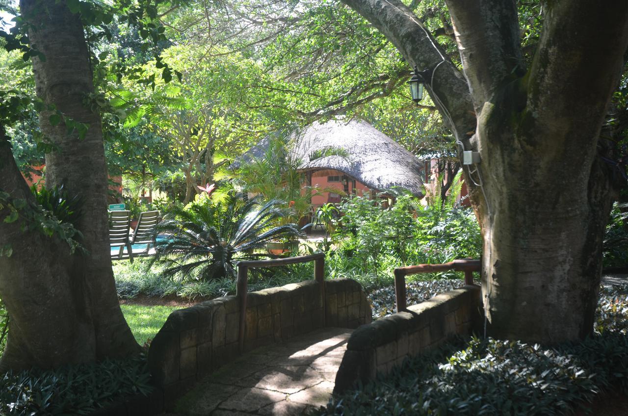 Bushbaby Lodge & Camping Hluhluwe Exteriér fotografie